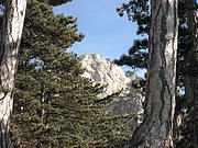 PB060018.JPG