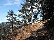 PB060020.JPG