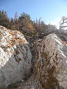 PB060022.JPG