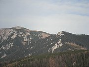 PB060031.JPG