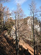 PB060037.JPG