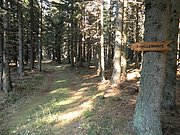 PB060039.JPG