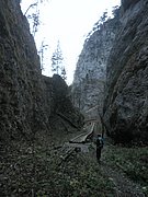 PB060054.JPG