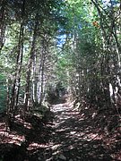 P9110071.JPG