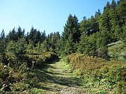 P9110078.JPG