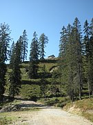 P9110082.JPG