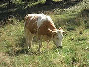P9110091.JPG