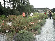 P7140028.JPG