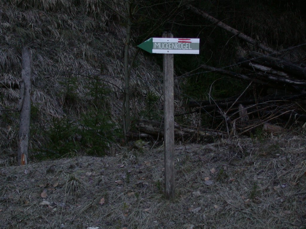 DSCN4494.JPG