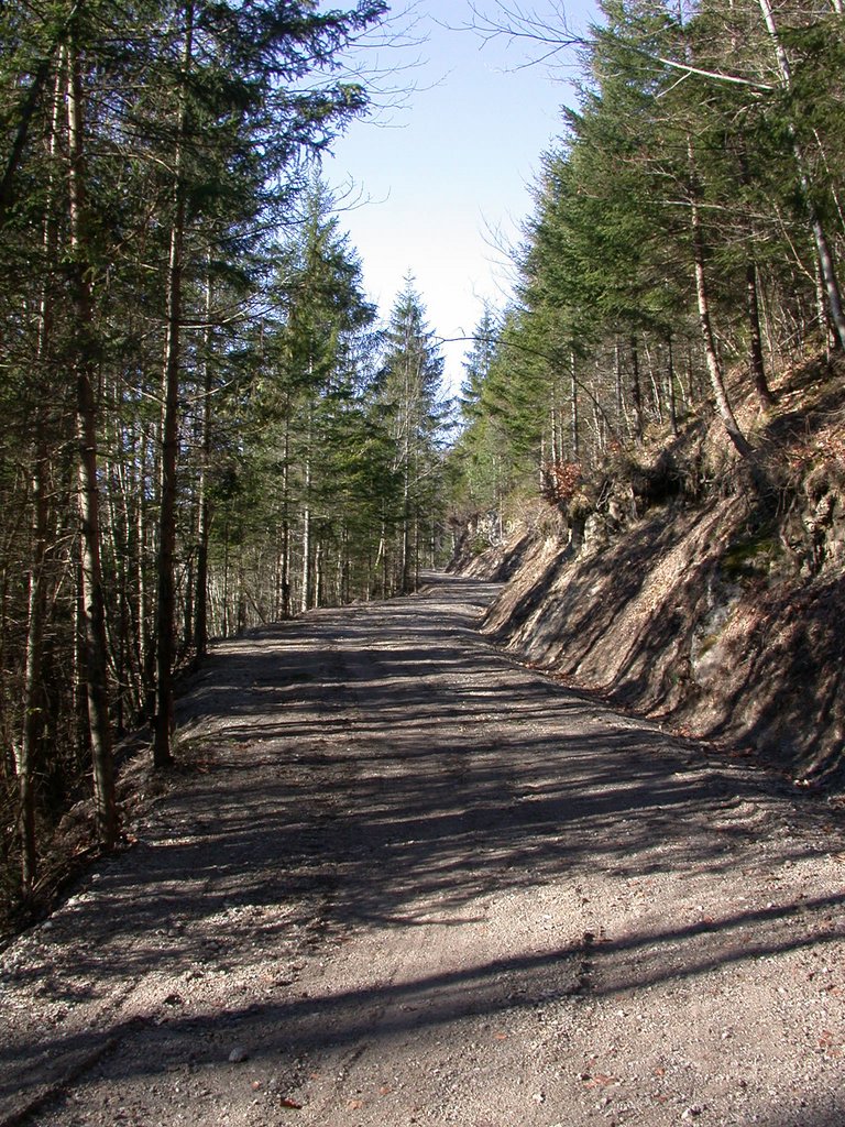DSCN4499.JPG
