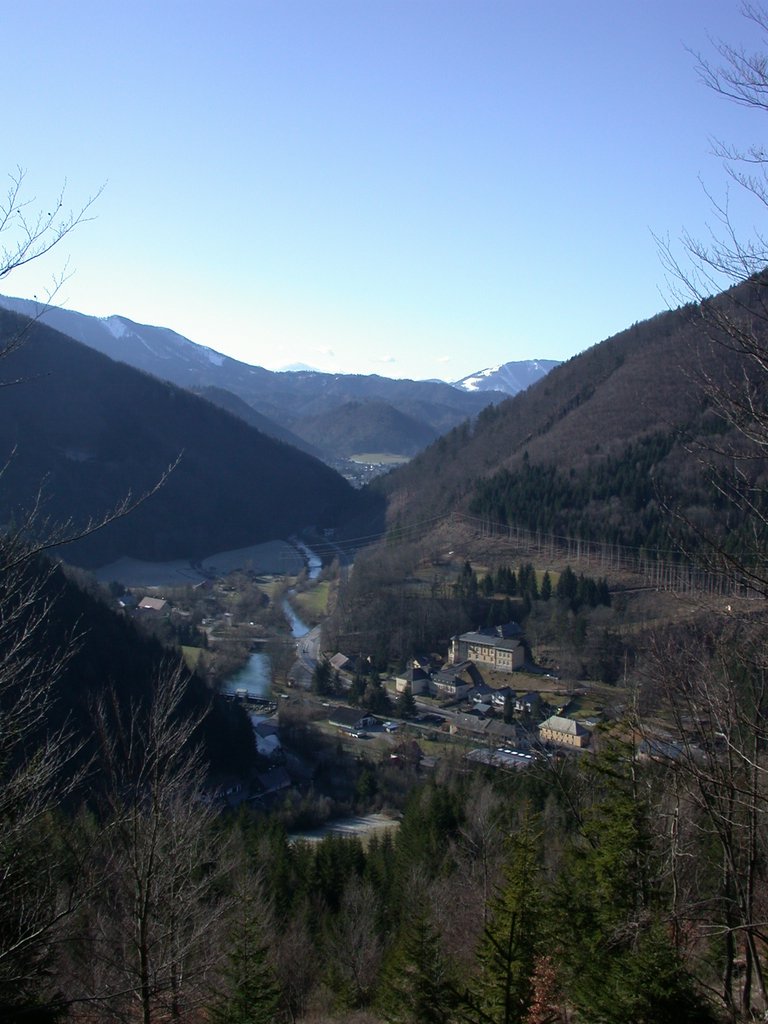 DSCN4501.JPG