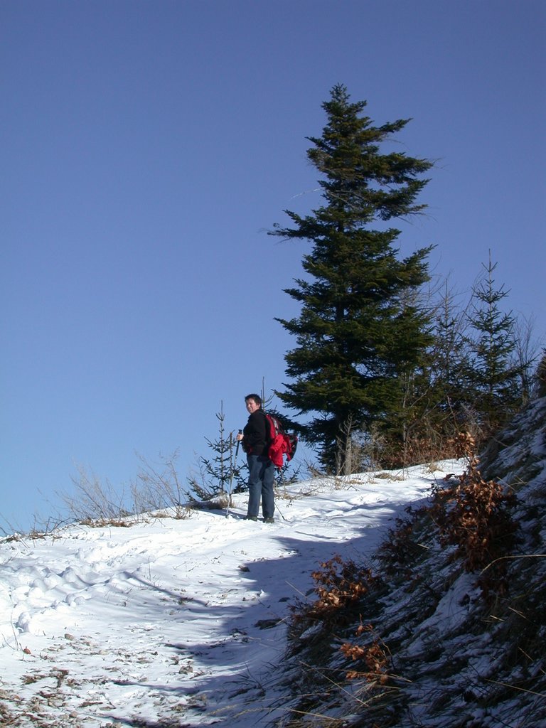 DSCN4514.JPG