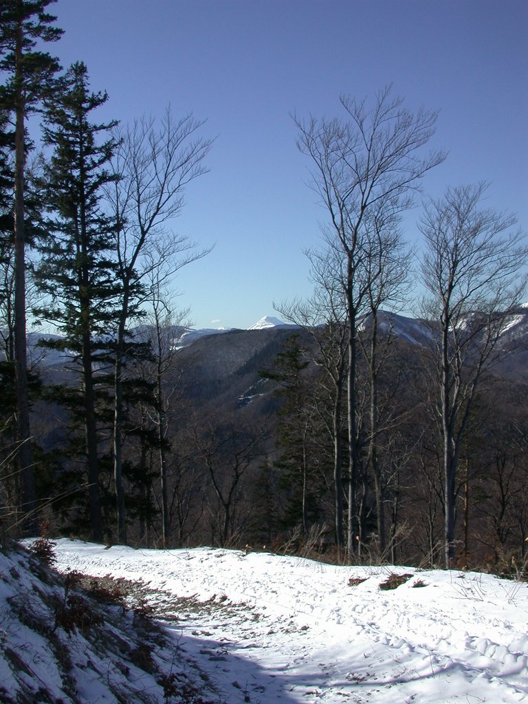 DSCN4519.JPG