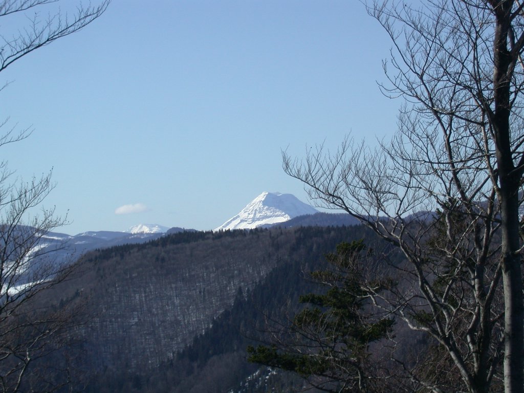 DSCN4521.JPG