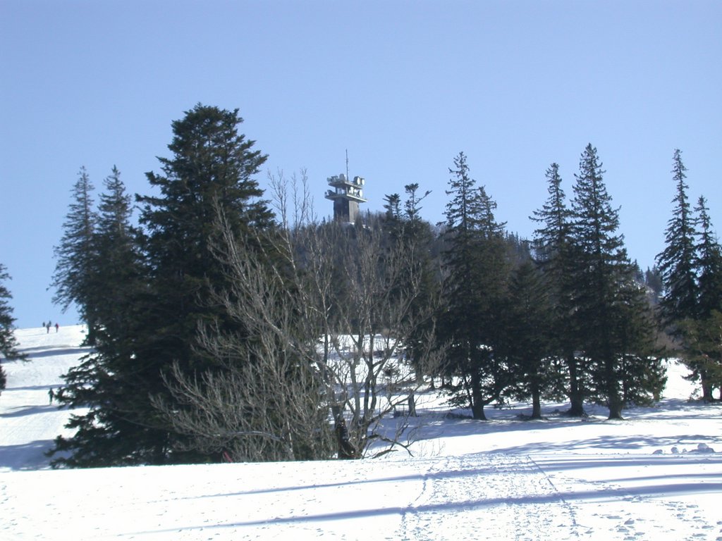 DSCN4526.JPG
