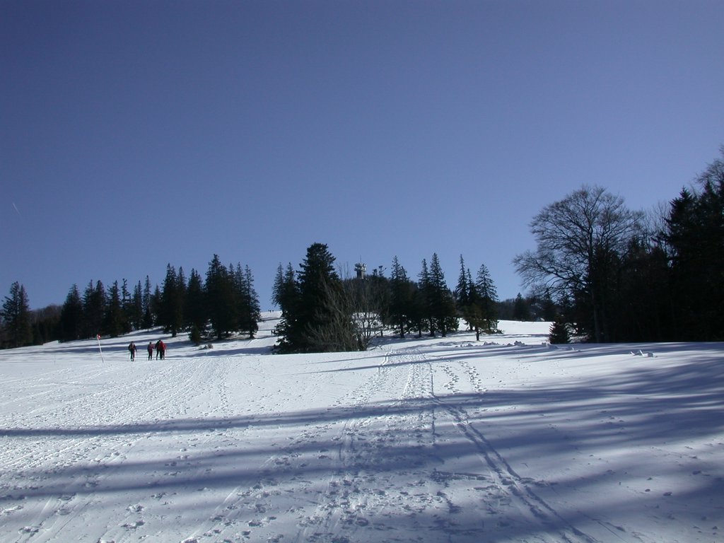 DSCN4527.JPG