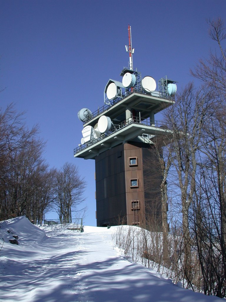 DSCN4534.JPG