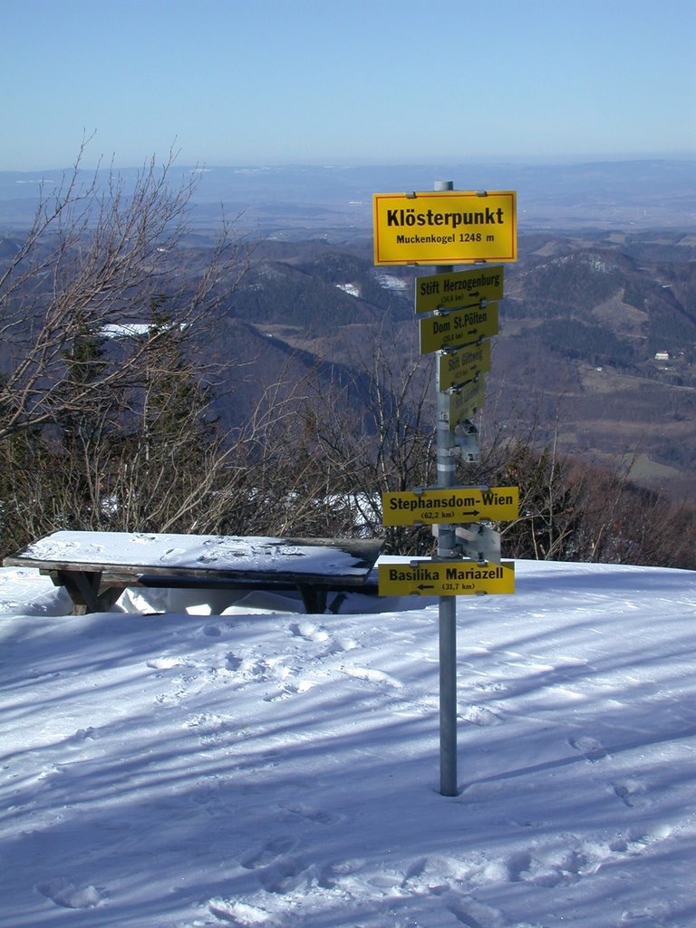 DSCN4536.JPG