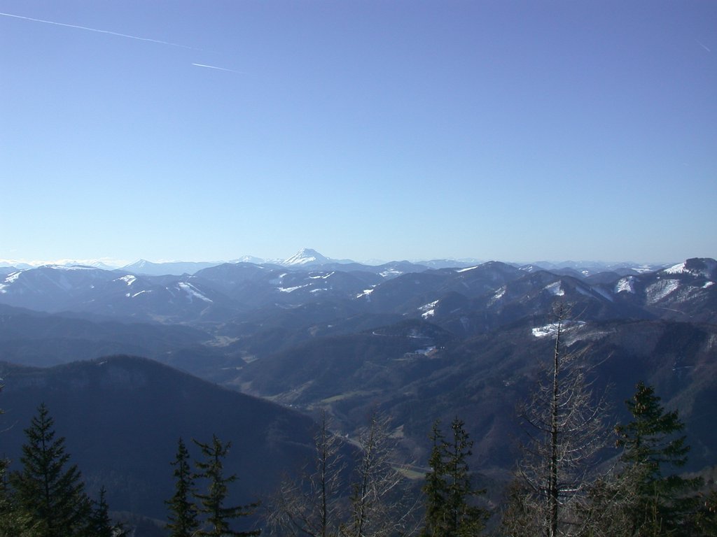 DSCN4537.JPG