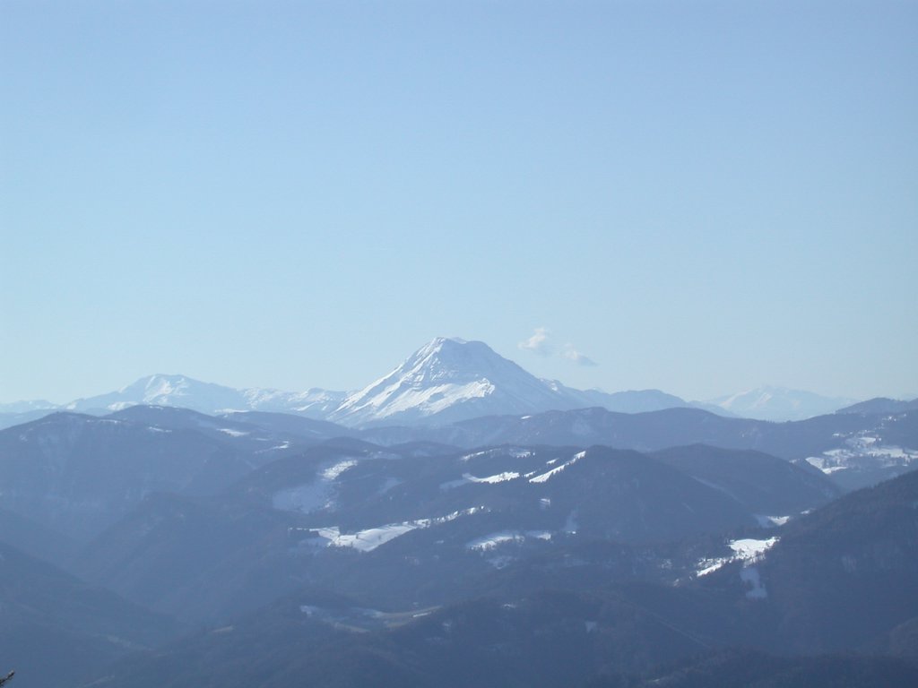 DSCN4541.JPG