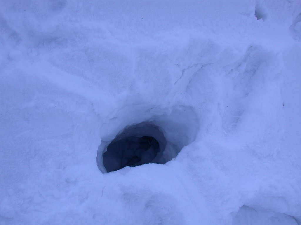 DSCN4544.JPG