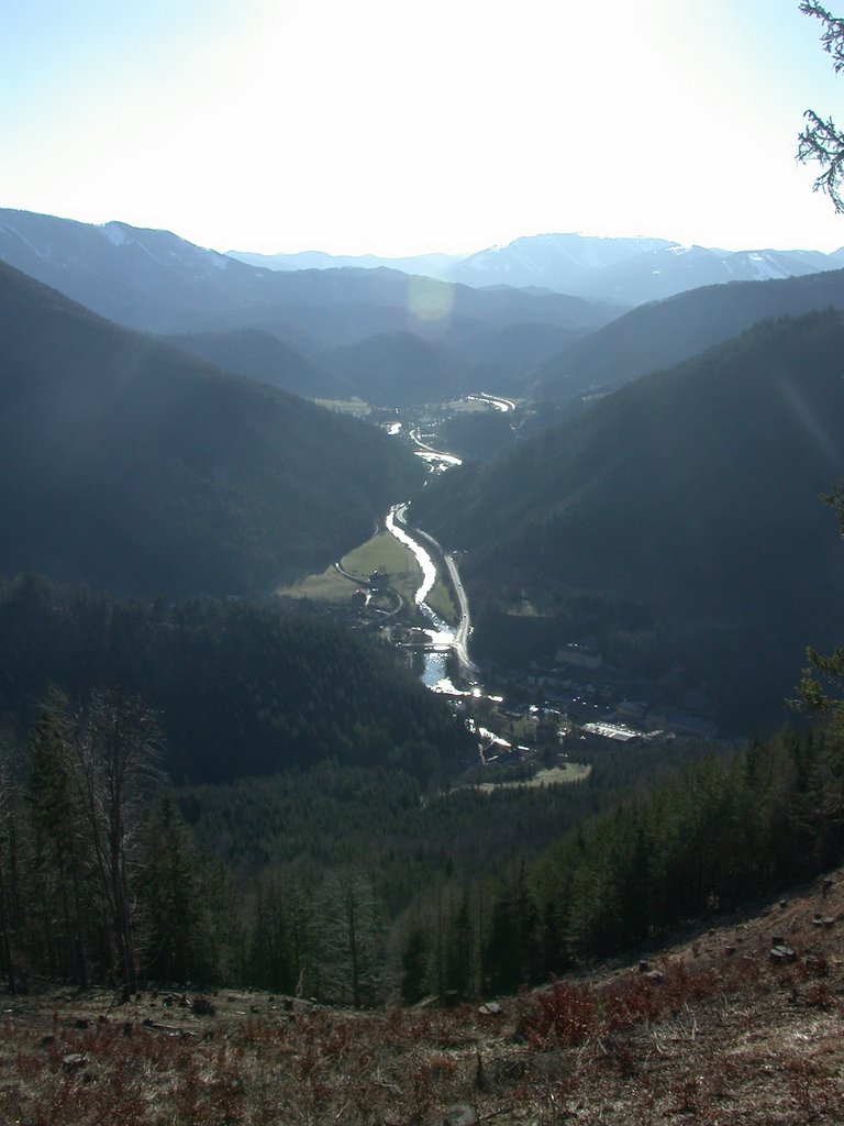 DSCN4547.JPG