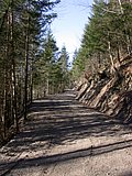 DSCN4499.JPG