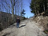 DSCN4503.JPG
