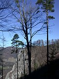 DSCN4504.JPG