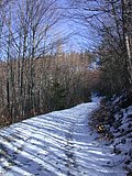 DSCN4513.JPG
