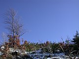 DSCN4516.JPG