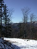 DSCN4519.JPG