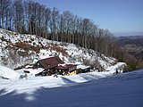 DSCN4525.JPG