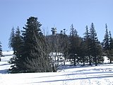 DSCN4526.JPG