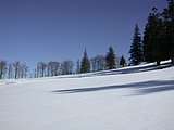 DSCN4528.JPG