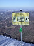 DSCN4535.JPG