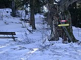 DSCN4543.JPG