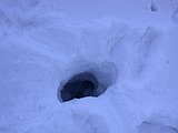 DSCN4544.JPG