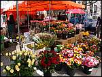 DSCN4894.JPG