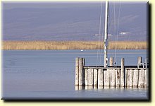 _IMG7612_mod.jpg