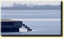 _IMG7653_mod.jpg