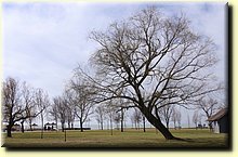 _IMG7767_mod.jpg