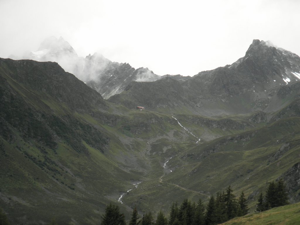 P8160143.JPG