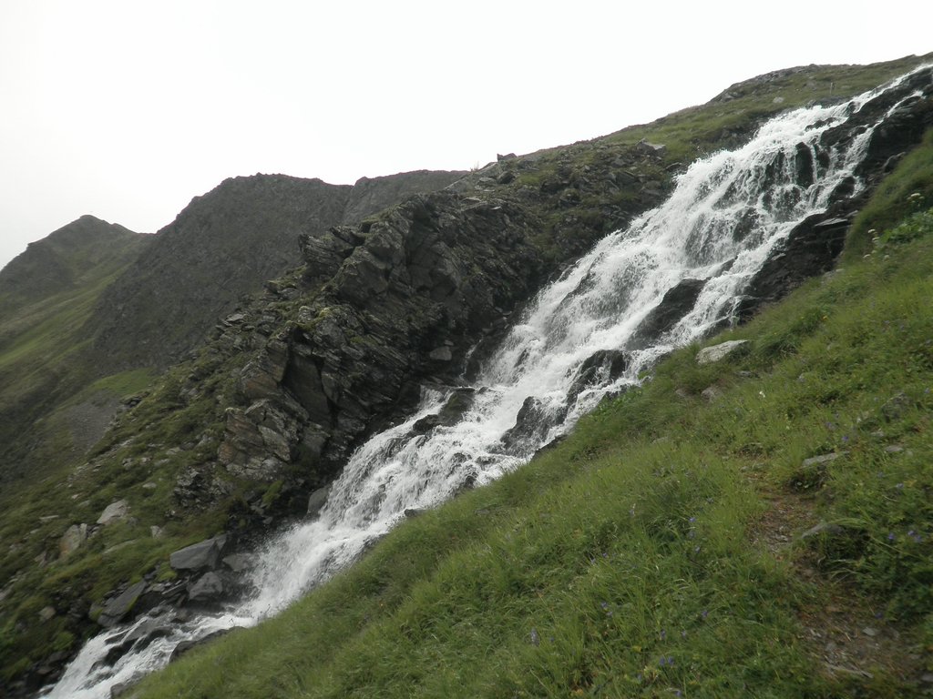 P8160157.JPG