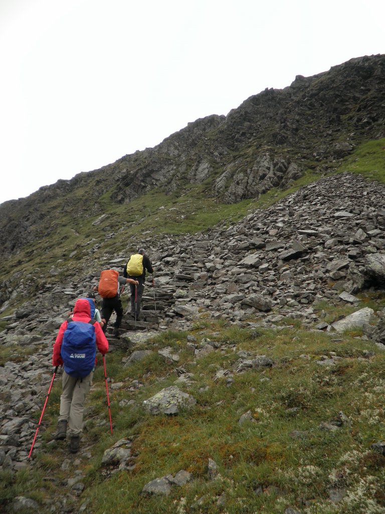 P8160161.JPG