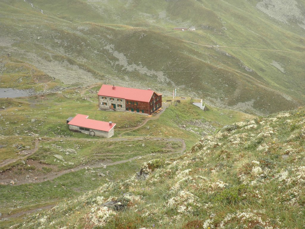 P8160171.JPG