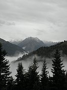 P8160141.JPG