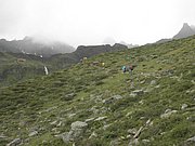 P8160155.JPG