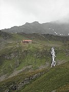 P8160156.JPG
