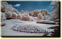 _IGP1065_mod.jpg